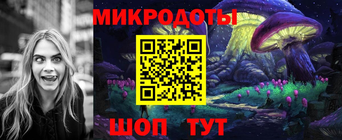 Псилоцибиновые грибы Cubensis Домодедово