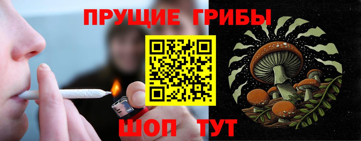 Галлюциногенные грибы MAGIC MUSHROOMS  Вход с VPN  Домодедово  Галлюциногенные грибы Cubensis 